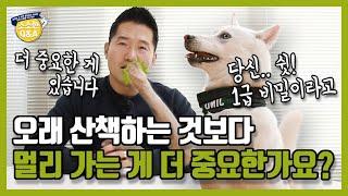 오래 산책하는 것보다 멀리 가는 게 더 중요한가요?｜강형욱의 소소한 Q&A