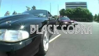 Black Cobra