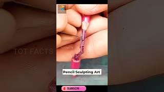 Mind Blowing Art ll Creating Pencil Sculpting Art ll TOT FACTS