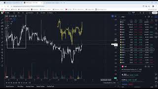 AMC the most shorted stock in history?