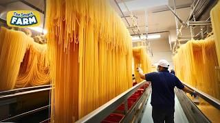 How Spaghetti Noodles Are Made: INCREDIBLE Spaghetti Factory!