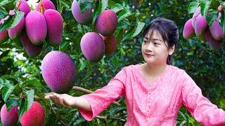 AMAZING HARVESTING MANGO, GUAVA, CUCUMBERS - A collection tropical fruits/Fruit Compilation 1