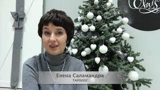 Гадание на картах Таро от таролог Елена Саламандра