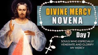 Divine Mercy Novena & Chaplet – Day 7
