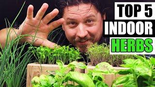 Top 5 Herbs To Grow Indoors