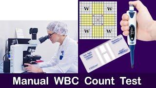 Manual WBC Count Test ( Complete Explain )