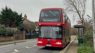 BYD BD11s have entered service on Route 101