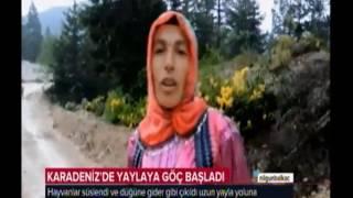 TRT'de Şalpazarı'ndan Yayla Göçü Haberim