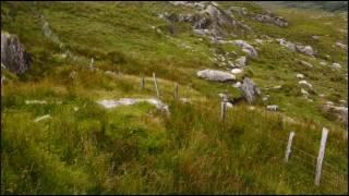 patrick ball - celtic harp music