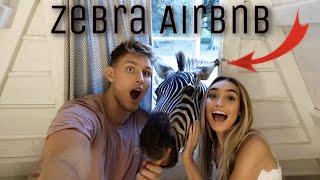 We stayed with a ZEBRA?!?! (Unique Stays)