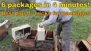 How to Install a Package bees using 2 Methods! PLUS tips & tricks to keep them healthy & alive