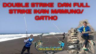full strike panen ikan gatho dengan alat ini 2 surf fishing drone #drone #fishing #purworejo