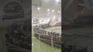 Modern Cow Farm  Baladna Qatar