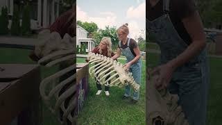 How to Assemble the Viral 12-foot Skeleton 