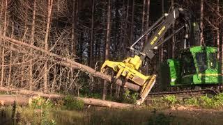 Tree Harvesting 2018