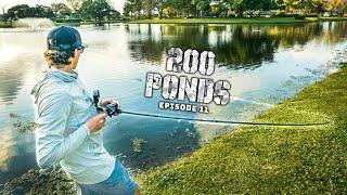 SPEED-Teichangeln in Florida vor dem Laichen! (Ft. BlacktipH) - 200 Ponds Ep. 11