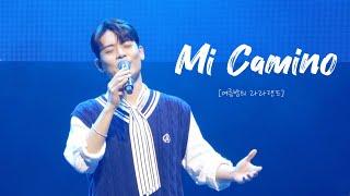 [4K] 230630 Mi Camino_유채훈 | [여름밤의 라라랜드]