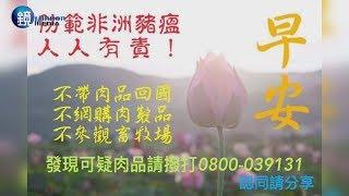 鏡週刊 鏡爆時事》再傳海漂豬屍 蔡英文金門視察嚴防擴散