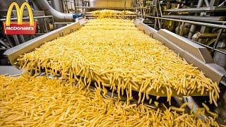 WIE MCDONALD'S POMMES FRITES HERGESTELLT WERDEN. LEBENSMITTELPRODUKTION