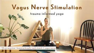 Vagus Nerve Stimulation | Trauma Sensitive Yoga