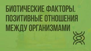 Биотические факторы. Позитивные отношения между организмами. Видеоурок по биологии 11 класс