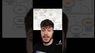 HBAR + QUANTUM FINANCIAL SYSTEM