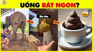 Tin Được Không: 15 Bí Ẩn Sững Sờ Nhất Giờ Mới Được Tiết Lộ | Nhanh Trí