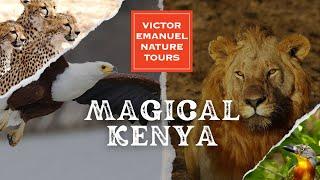 Magical Kenya