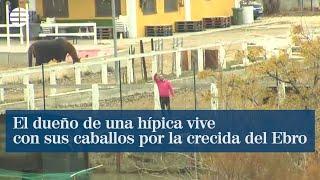 El dueño de una hípica vive con sus caballos por la crecida del Ebro