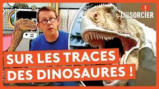 Comment ont disparu les dinosaures ? - C'est pas sorcier