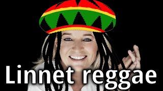 Det er min pligt at forbedre musik - Linnet reggae