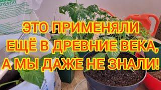 БЕСПЛАТНАЯ МИКОРИЗА.+ ПОЛЕЗНЫЙ И ПИТАТЕЛЬНЫЙ ДРЕНАЖ ДЛЯ РАССАДЫ. ИДЕАЛЬНЫЙ ГРУНТ ДЛЯ РАННЕГО УРОЖАЯ.