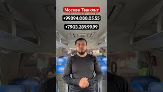 Москва Ташкент автобус рейсы #москва #ташкент #автобус #прямой #янгиликлар #мусофур #шошилинч #ютуб