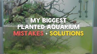 Top 5 Planted Aquarium Mistakes | Beginner Aquascaping Mistakes and Solutions