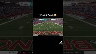 What A Catch!