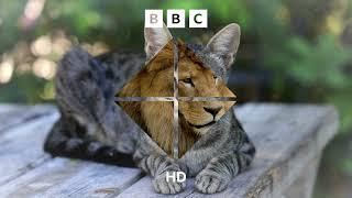 BBC HD - Custom Ident with 2022 Branding