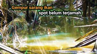 inilah keganasan, spot mancing belum pernah terjamah manusia.