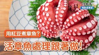 五味章魚｜不殘忍快速處理活章魚，增色Q彈秘訣不藏私【阿布潘水產】