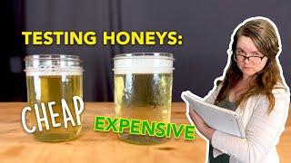 Does HONEY QUALITY matter in mead? Testing CHEAP vs. EXPENSIVE honey in a Hydromel