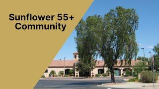 Driving Through Sunflower Active Adult Community in Marana Arizona