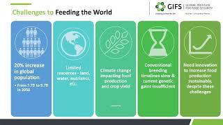 Global Institute for Food Security Accelerated Breeding Seminar (August 2023)