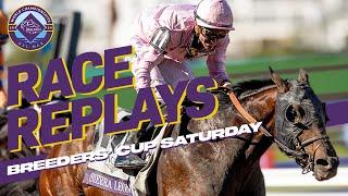 ALL RACES! Breeders' Cup Saturday 2024. Ft. SIERRA LEONE, THORPEDO ANNA & REBEL'S ROMANCE