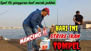 STRIKE IKAN TOMPEL MANCING HARI INI @Aditiyafishing