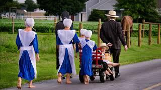 ¿Quiénes son los Amish?