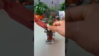 How to grow flower in cup so beautiful garden flowers #diy #plants #flowers #shorts