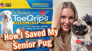 DR. BUZBY'S TOEGRIPS SAVED MY SENIOR PUG \ BEFORE & AFTER VIDEO \ AN HONEST REVIEW