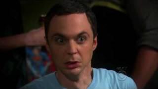 Big Bang Theory - WHEATON