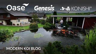 Modern Koi Blog #5742 - In der Schweiz:  Swens krasser und stark besetzter  60.000 Liter Koiteich