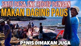 makan DAGING PAUS demi HIDUP. | Lamalera - Nusa Tenggara Timur | Berburu PAUS | Paus Sperma | NTT