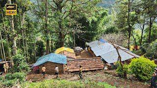 Hidden Tribal Village  | Indian Village Life| Tamil Nadu | Nilgiris Ooty